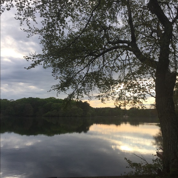 Meet your Posher, Monica - Picture 3 of 3